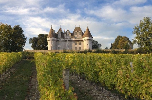 Weinreben in der Dordogne mit alter Villa im Hintergrund.