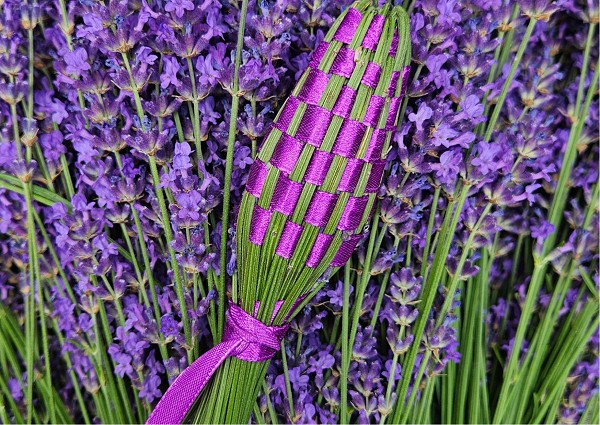 Lavendelstab vor frischem Lavendel